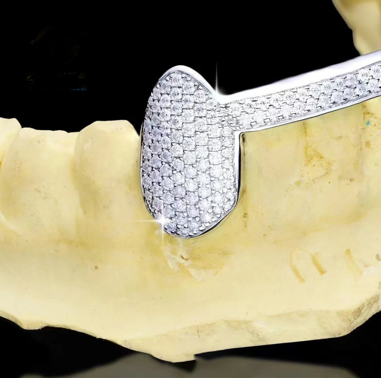 Canine to Canine Iced Out Silver Grillz (Passes The Diamond Tester)